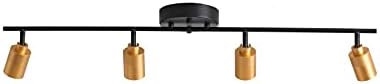 Shura 4-Light Track Light Black Brass