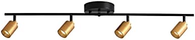 Shura 4-Light Track Light Black Brass