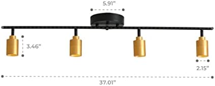 Shura 4-Light Track Light Black Brass