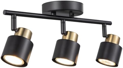 3 Light Track Lighting Kit with Matte Black Brass Finish