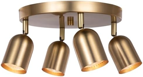 CRAFTRONOS 4-Light Track Lighting Kit Canopy Matt Brass Finish