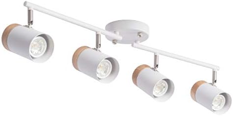TeHenoo 4 Light Track Lighting with Flexible Arm