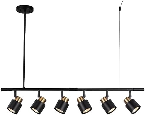 AdjustTrack Lighting Kit Matt Black Brass Finish