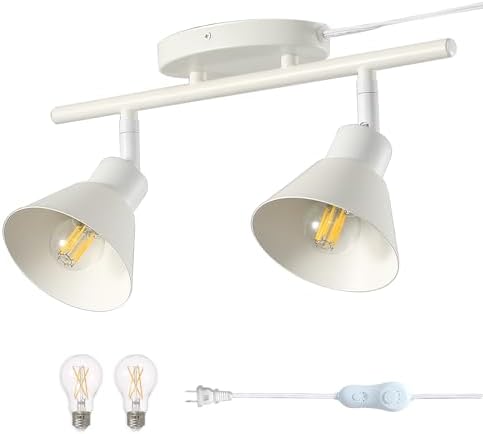 2 Light Plug in Track Lighting Kit with Timer and Dimmer
