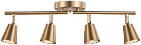 4-Bulb Track Lighting Kit with Adjustable Brass Finish for Home
