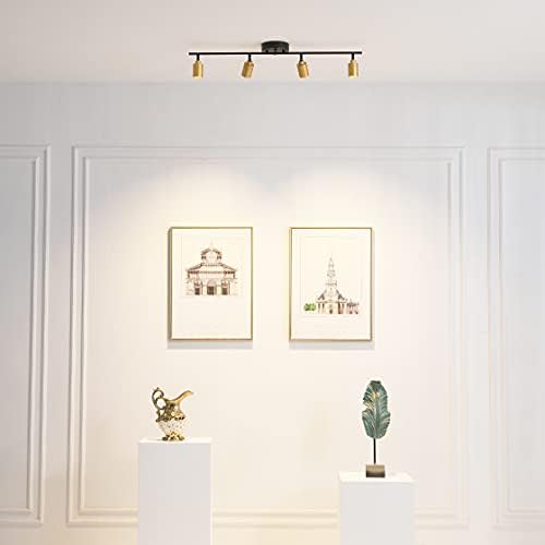 Shura 4-Light Track Light Black Brass
