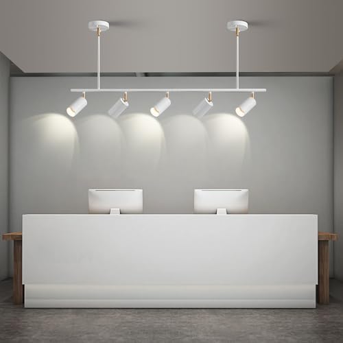 5-Light LED Track Lighting Kit for Living RoomKitchenDining RoomBedroomBar