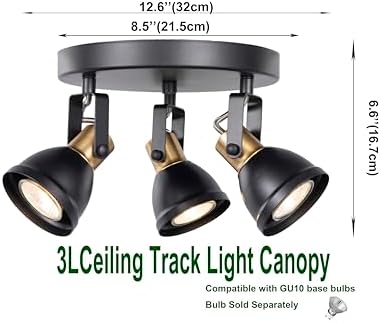 3 Light Track Lighting Kit with Matte Black Brass Finish 1