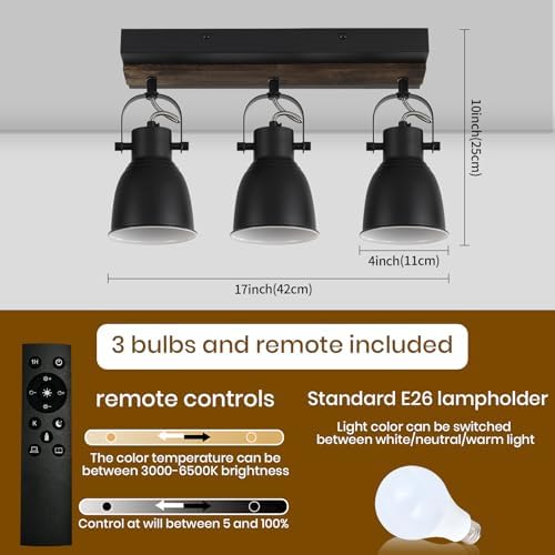 KEESFU Lighting Farmhouse Track Lighting Dimmable with Remote Control