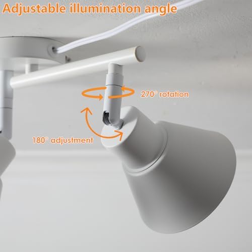 2 Light Plug in Track Lighting Kit with Timer and Dimmer