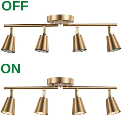 4-Bulb Track Lighting Kit with Adjustable Brass Finish for Home