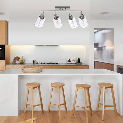 4 Light Track Lighting Kit with Clear Glass Shades and Brushed Nickel Frame