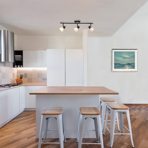 Curated Black Track Lighting with Glass - 3-Light Kitchen Fixture