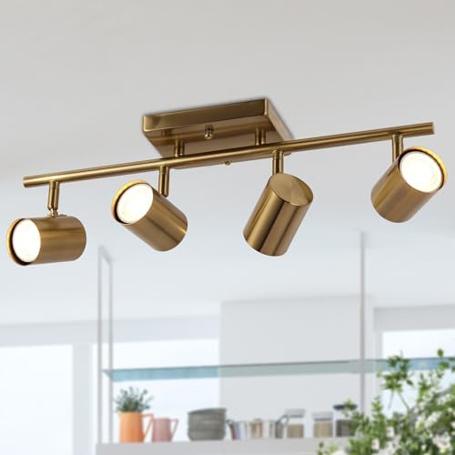Luxury Track Lighting Kit for Your Home