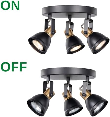 3 Light Track Lighting Kit with Matte Black Brass Finish 1