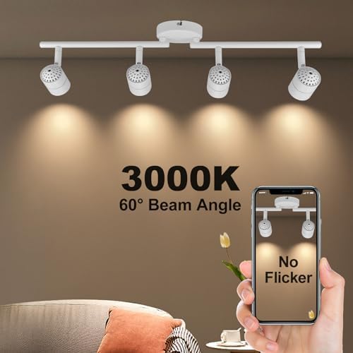 Arcfox 4-Way LED Track Lighting Kit