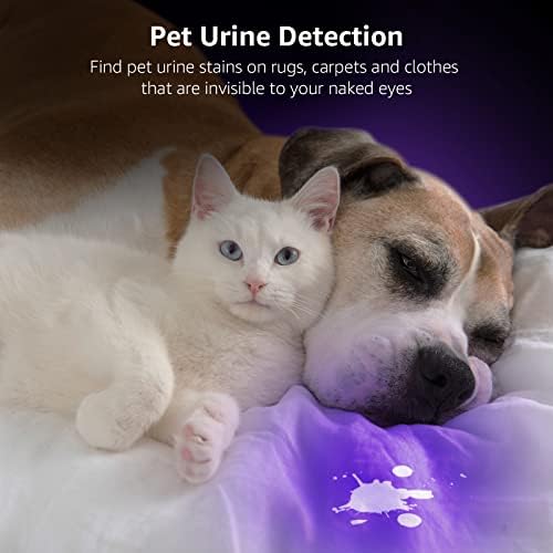 High-Performance UV Flashlight for Food and Animal Stains