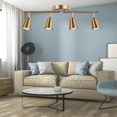 4-Bulb Track Lighting Kit with Adjustable Brass Finish for Home