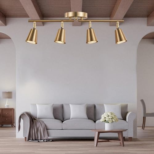 4-Bulb Track Lighting Kit with Adjustable Brass Finish for Home