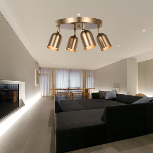 CRAFTRONOS 4-Light Track Lighting Kit Canopy Matt Brass Finish