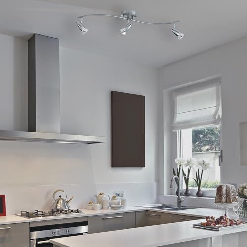 Laite Lumens Brushed Steel Ceiling Light