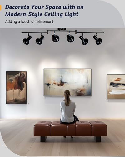 HiBay 6-Light Track Lighting System with 350 Rotatable Arm