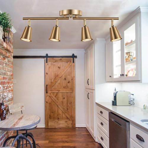 4-Bulb Track Lighting Kit with Adjustable Brass Finish for Home