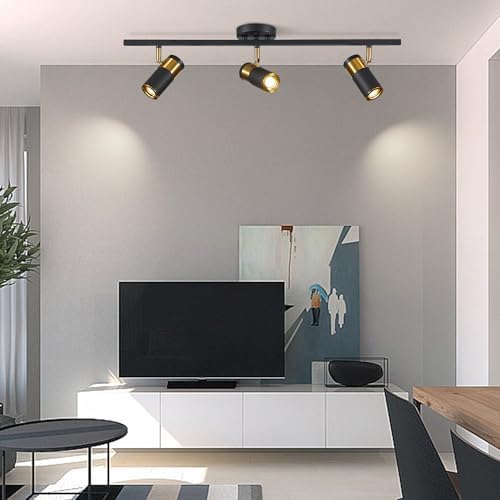 Modern 3-Light Adjustable Black Track Lighting Kit for Home Use