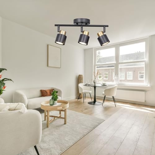 3 Light Track Lighting Kit with Matte Black Brass Finish