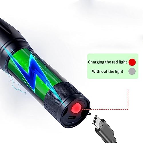 Rechargeable Black Light Flashlight UV Scorpion Bed Bug Finder