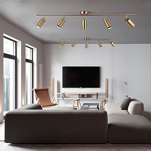 5-Light LED Track Lighting Fixtures