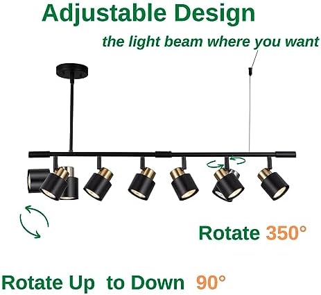 AdjustTrack Lighting Kit Matt Black Brass Finish