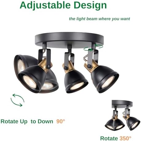 3 Light Track Lighting Kit with Matte Black Brass Finish 1