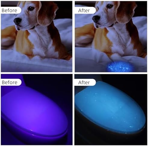 Collgene UV Flashlight for Pet Care
