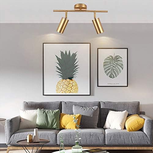 Modern Gold Ceiling Lighting Kit Mid-Century Lighting with Glass Globes