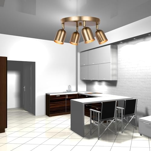 CRAFTRONOS 4-Light Track Lighting Kit Canopy Matt Brass Finish