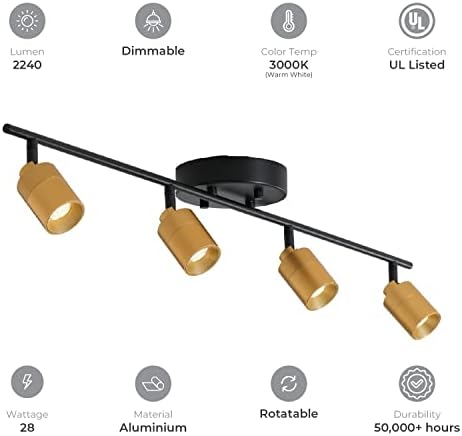 Shura 4-Light Track Light Black Brass