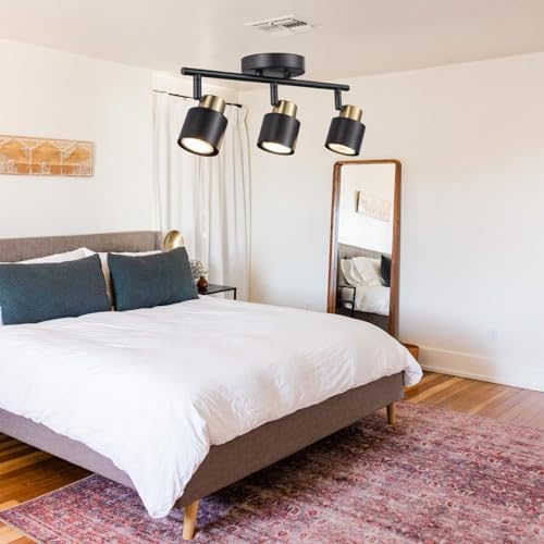 3 Light Track Lighting Kit with Matte Black Brass Finish