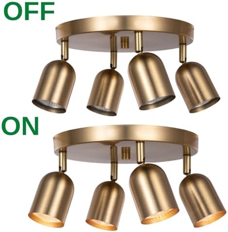 CRAFTRONOS 4-Light Track Lighting Kit Canopy Matt Brass Finish