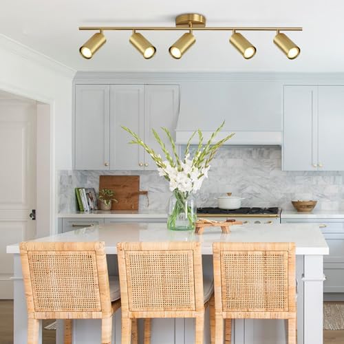 5-Light LED Track Lighting Fixtures