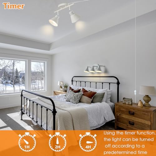 2 Light Plug in Track Lighting Kit with Timer and Dimmer