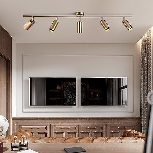 5-Light LED Track Lighting Fixtures