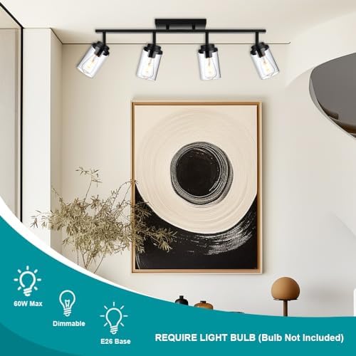 Banato 4-Light Rotating Track Lights Matte Black Ceiling Wall