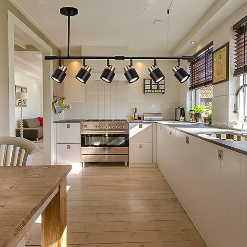 AdjustTrack Lighting Kit Matt Black Brass Finish