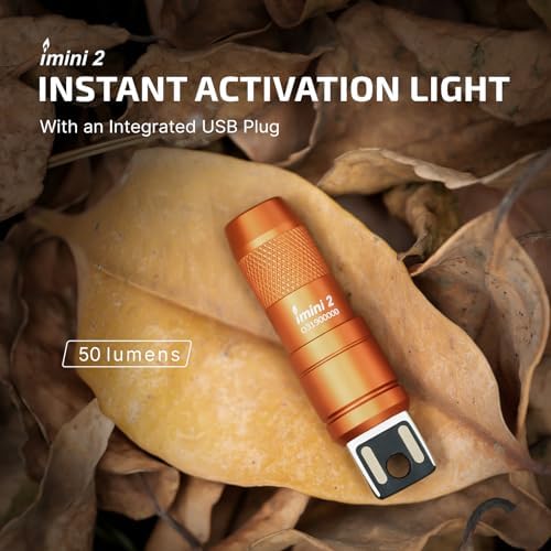 PORTABLE rechargeable dual-mode flashlight for EDC