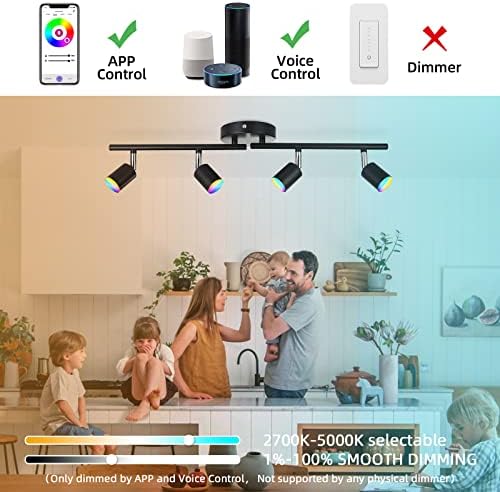 IntelliLight Track Ceiling System