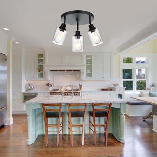 3 Light Modern Track Lighting with Rotatable Heads