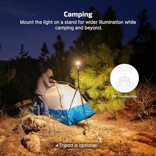 OLIGHT Prowess USB-C Rechargeable Bidirectional Flashlight Bundle with Perun 2 Mini Headlamp