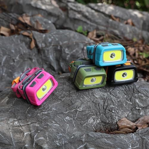 EverBrite 9-LED Flashlight and Rechargeable Headlamp