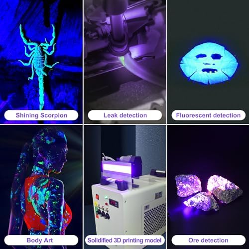 DARKDAWN Mini UV Flashlight for Pest Detection